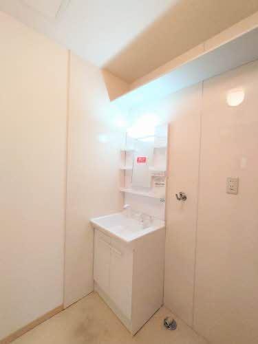 洗面設備　シャワー付き洗面台・洗濯機置場