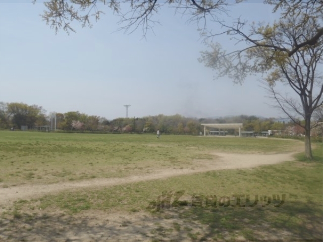 公園　梅小路公園（公園）まで850m