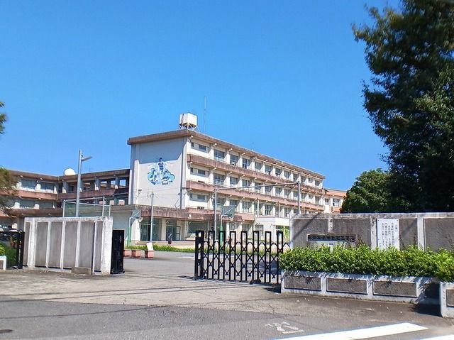 小学校　戸次小学校（小学校）まで1100m