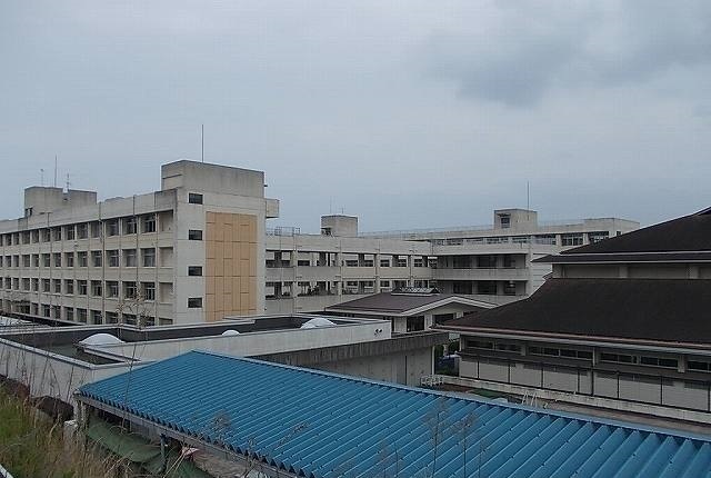 その他　今治市立桜井小学校まで1200m