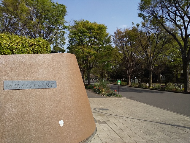 公園　駒沢オリンピック公園（公園）まで300m