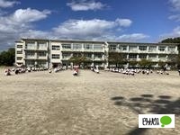 小学校　岡崎市立大門小学校（小学校）まで335m