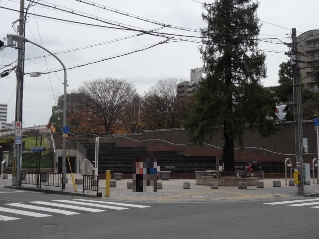 公園　江坂公園（公園）まで1100m