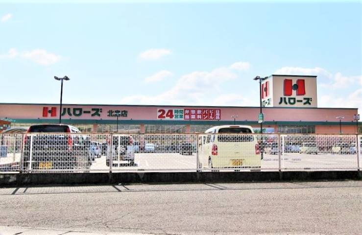 スーパー　ハローズ北島店（スーパー）まで2020m