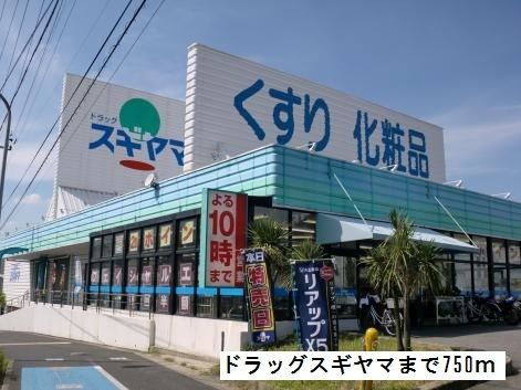 ドラックストア　ドラッグスギヤマ（ドラッグストア）まで750m