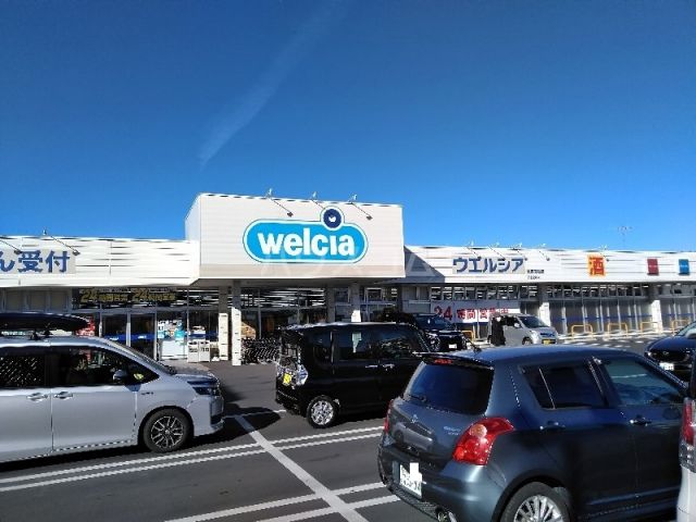 ドラックストア　ウエルシア土浦真鍋店（ドラッグストア）まで1308m