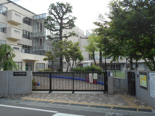小学校　目黒区立碑小学校（小学校）まで870m