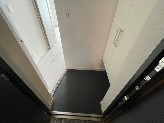 玄関　ソルテラス阿波座ウィズ　玄関