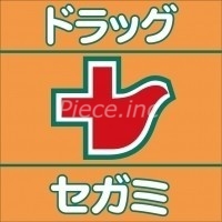 ドラックストア　ドラッグセガミ内代店（ドラッグストア）まで270m