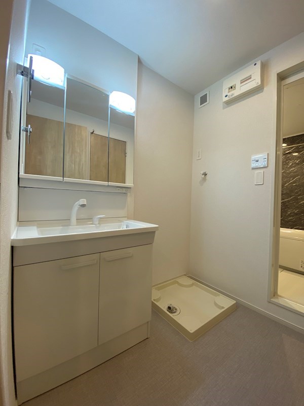 洗面設備　※別号室の写真です