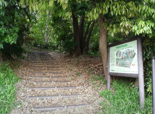 公園　篠籠田市民緑地（公園）まで694m