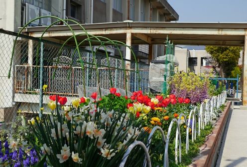 小学校　西宮市立上ケ原南小学校（小学校）まで827m