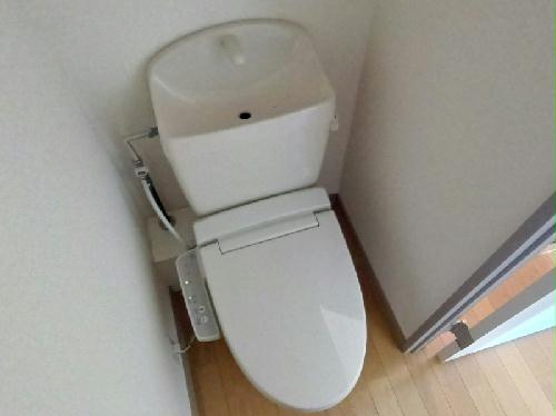トイレ　トイレスペースです。