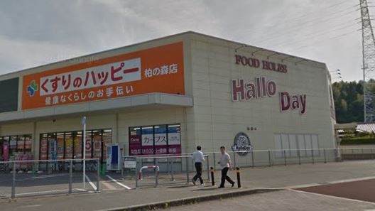 ドラックストア　くすりのハッピー柏の森店（ドラッグストア）まで845m