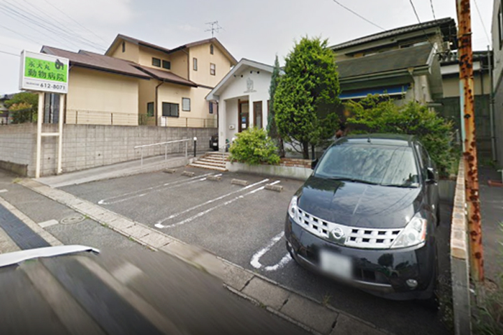 病院　永犬丸動物病院（病院）まで137m