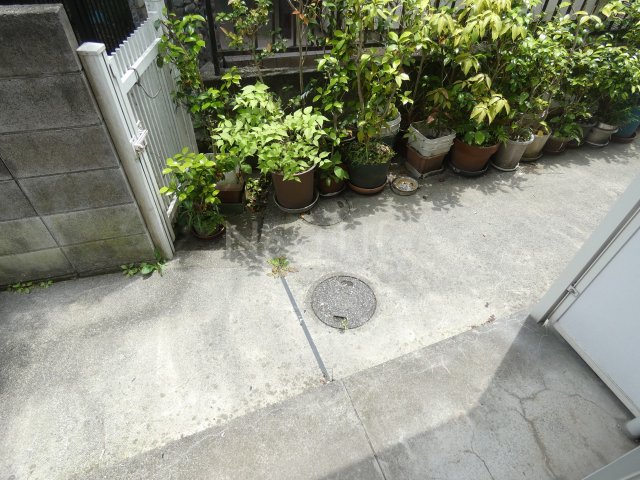 庭
