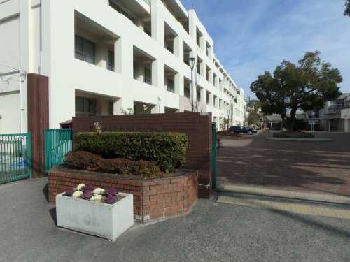 高校・高専　兵庫県立鳴尾高等学校（高校・高専）まで2581m