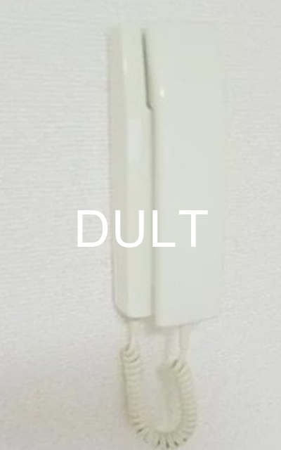 セキュリティ　インターホンです。