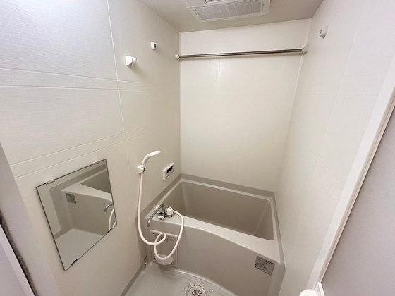 バス・シャワールーム　※別部屋の写真です