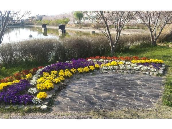 その他　高野瀬池公園（その他）まで790m