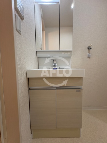 洗面設備　フジパレス清水丘V番館　独立洗面台