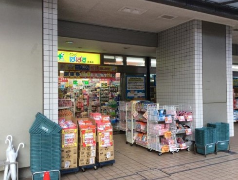 ドラックストア　どらっぐぱぱす月島店（ドラッグストア）まで210m