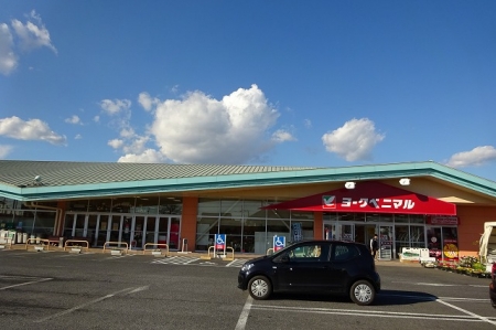 スーパー　ヨークベニマル赤塚店（スーパー）まで1100m