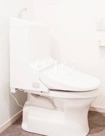 トイレ　トイレです。（同仕様です。）