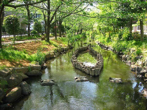公園　古川親水公園（公園）まで1236m