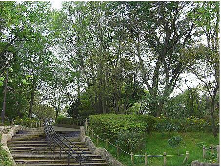 公園　羽根木公園（公園）まで912m