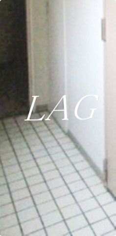 その他共有部分　共有廊下です。
