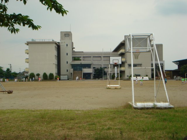 その他　大徳小学校（その他）まで497m