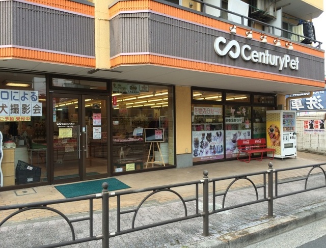 その他　センチュリーペット練馬平和台店（その他）まで1084m