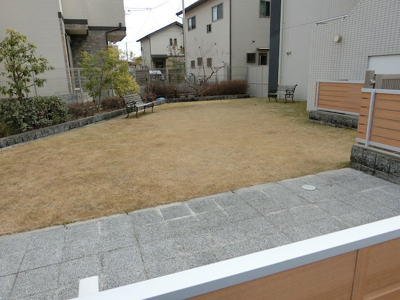 その他　ドックラン