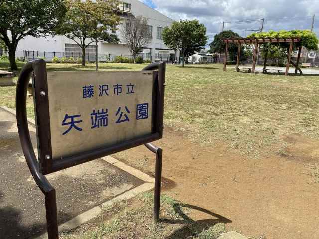 その他　矢端公園（その他）まで732m