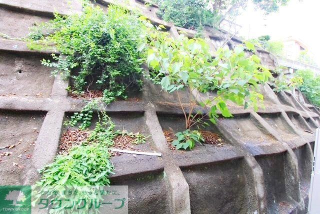 眺望　庭