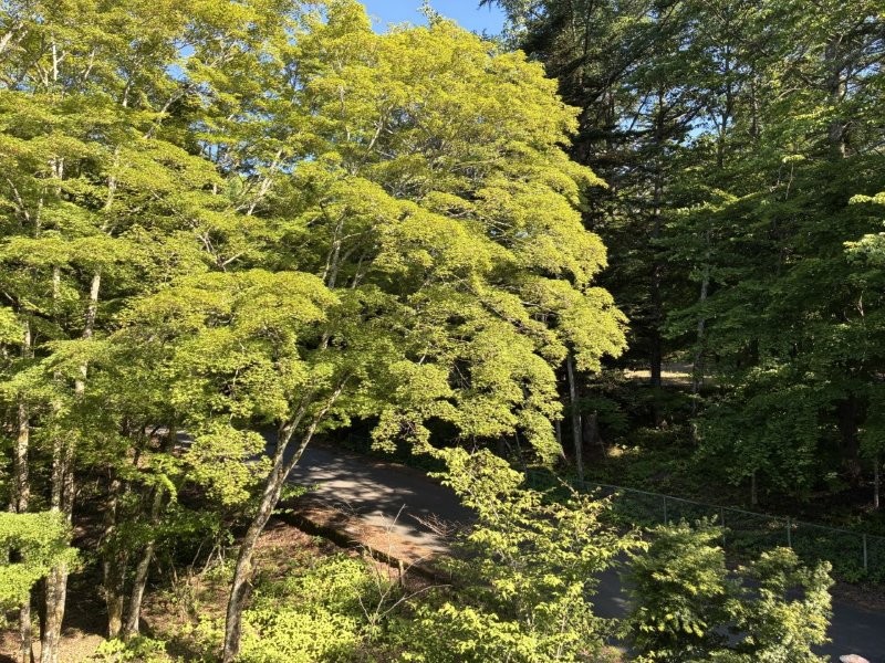 ダイヤモンドシャトー山中湖2号棟のその他写真
