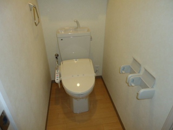 トイレ　※他号室の写真です