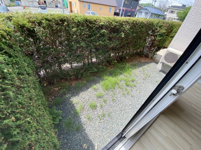 庭