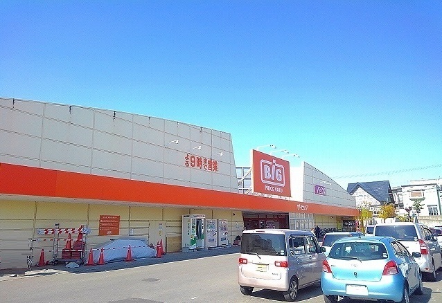 スーパー　ザ・ビッグ岩見沢（スーパー）まで1300m