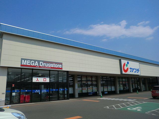 ドラックストア　カワチ薬品沼田東店（ドラッグストア）まで1100m