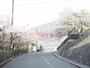 中学校　高槻市立第九中学校（中学校）まで750m
