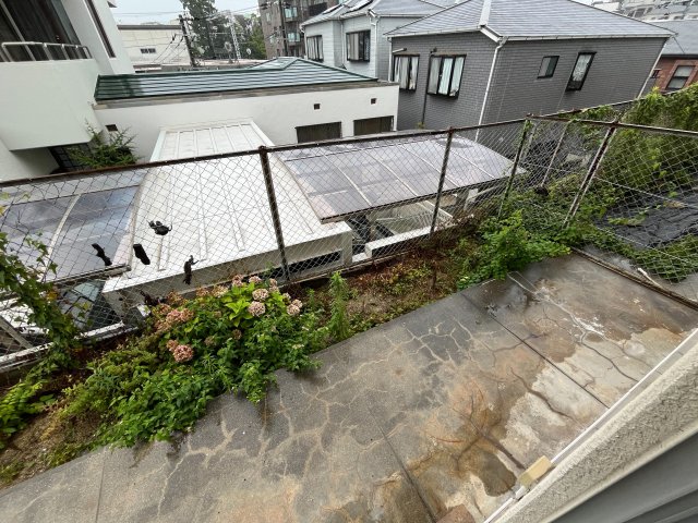 庭