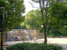 公園　新宿中央公園（公園）まで1565m