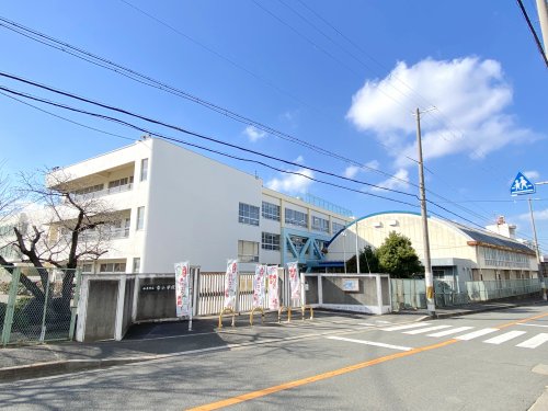 小学校　和泉市立幸小学校（小学校）まで515m