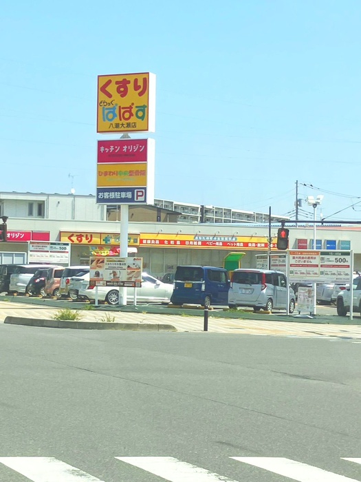ドラックストア　どらっぐぱぱす八潮大瀬店（ドラッグストア）まで700m