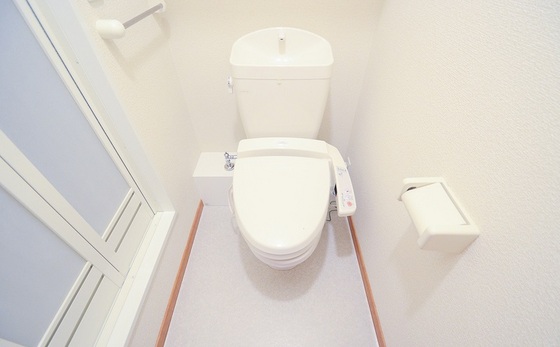 トイレ　※別号室の写真です