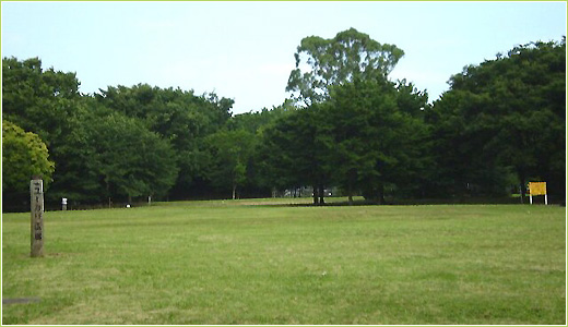 公園　小金井公園（公園）まで958m