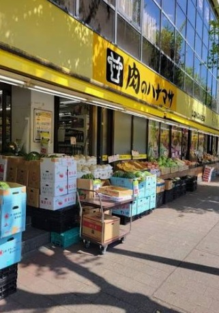 スーパー　肉のハナマサ市ヶ谷店（スーパー）まで668m
