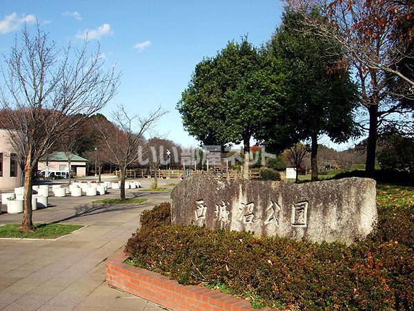 公園　西城沼公園（公園）まで1927m